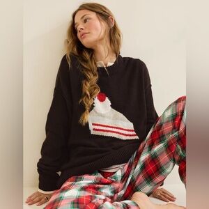 NWT Aerie Softest Luxe Crew Oversized Sweater Brown with Slice of Cake